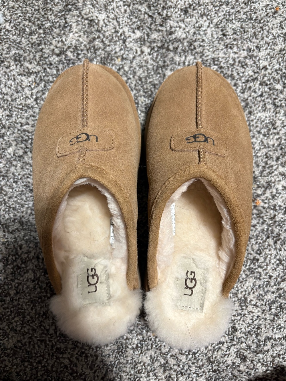Ugg disquette slipper